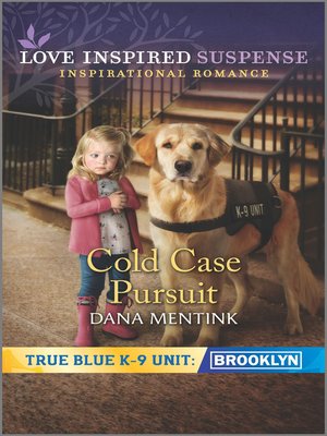 Cold Case Pursuit - ebook